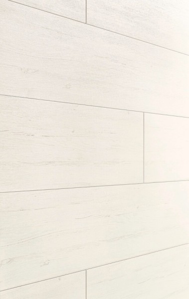 Wand & Decke|Dekorpaneele MeisterPaneele. terra DP 250 2050x250x12mm 4088 White Pine