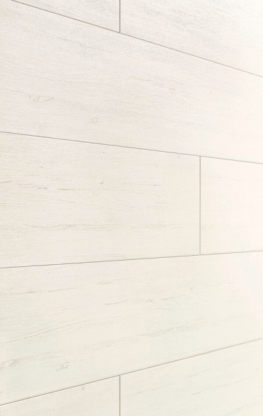 Wand & Decke|Dekorpaneele MeisterPaneele. terra DP 250 2050x250x12mm 4088 White Pine