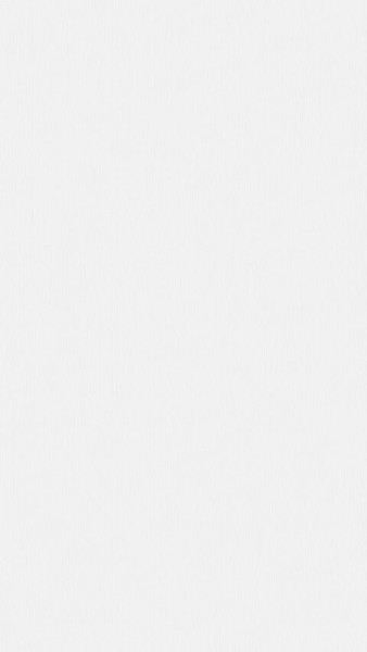 Meister Paneele terra DP 250 Polar white 20096