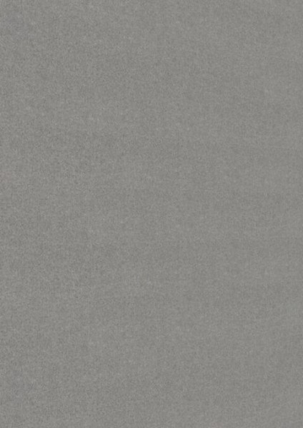 Meister Dekorpaneele Classic Bocado DP 250 20105 vlies grau