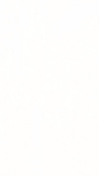 Meister Dekorpaneele Tertio DP 200 swedish white 20128