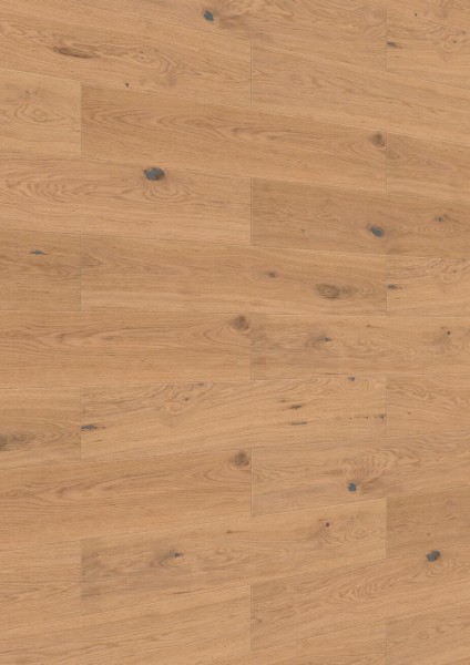 Meister Paneele craft SP 400 Eiche authentic pure 20131