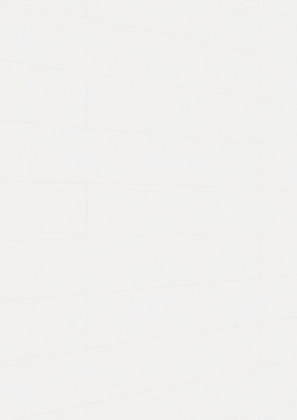 Meister Dekorpaneele Classic Bocado DP 250 4074 Whiteline