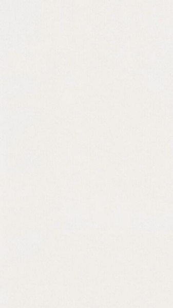 Meister Dekorpaneele Classic Bocado DP 200 Uni weiß glänzend DF 324