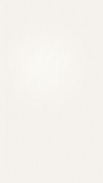 Meister Paneele terra DP 250 Vintage white 20099