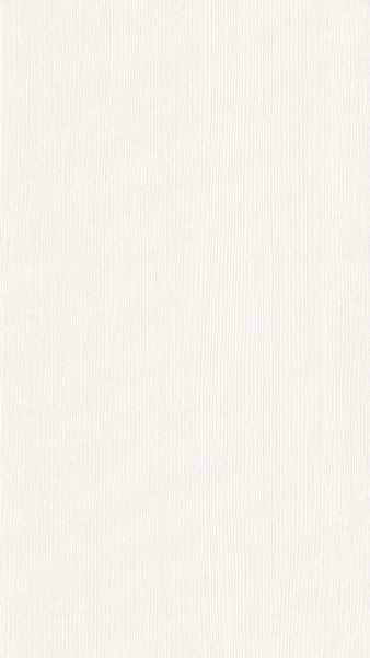 Meister Paneele terra DP 250 Warm fineline 20095