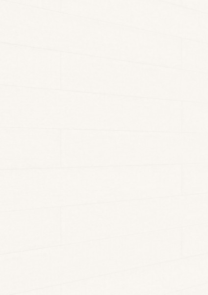 Meister Paneele terra DP 250 Warm fineline 20095