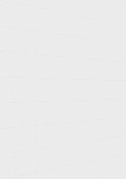 Meister Paneele terra DP 250 Polar white 20096