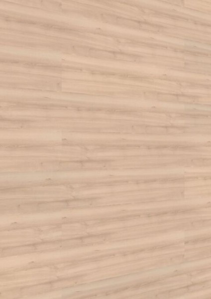 Meister Dekorpaneele Classic Bocado DP 250 4094 Buche pure