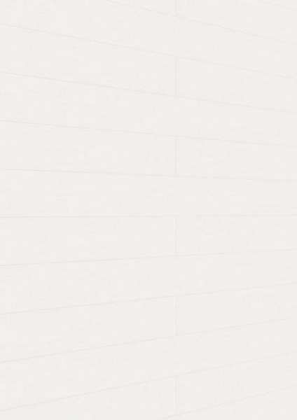 Meister Dekorpaneele Tertio DP 200 Esche alpinweiß 384