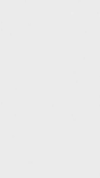 Meister Paneele terra DP 250 White Pearl 20097