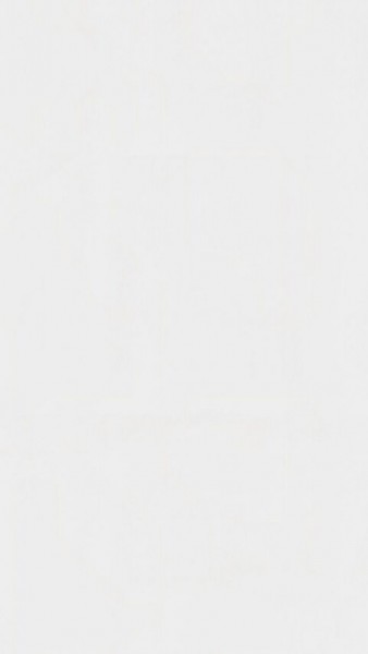 Meister Dekorpaneele Classic Bocado DP 250 Weiß Hochglanz 4084