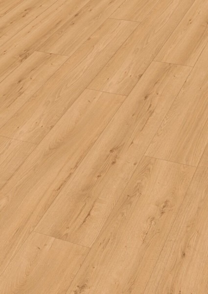 MeisterDesign.allround DD 700 S 7450 Earth Oak