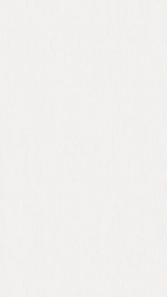 Meister Paneele Bocado DP 250 Fineline weiß 4029